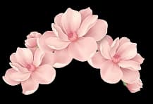 Decorative flowers